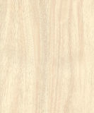 Laminate Flooring (KN1326)