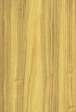 8.3mm HDF Laminate Flooring 8755