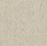 Foshan China Porcelain Rustic Floor Tile (VRK6060, 600X600mm)