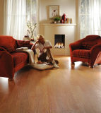 12.3mm High Quality E1 HDF AC3 Laminate Floor Embossed-in-Register (EIR)