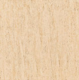 Full Body Matt Surface Rustic Wall and Floor Porcelain Tile (600X600mm)