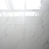 Full Glazed Polished in Stock Modern Style Valentino Marble Tile