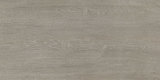 600X1200 Wooden Porcelain Matt Surface Tile (CM601203R)