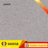 Bathroom Kitchen Tile Granite Look Polished Floor Wall Tile (66005B)