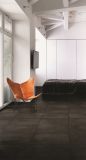 Building Material Ceramic Tile Floor and Wall Tile Italy Concept (CLT608)