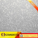 600*600 Factory Price Waterstones Tiles porcelain Tiles (GSM600731)